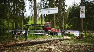 Pierwsza blokada wycinki Puszczy Białowieskiej