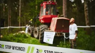Pierwsza blokada wycinki Puszczy Białowieskiej