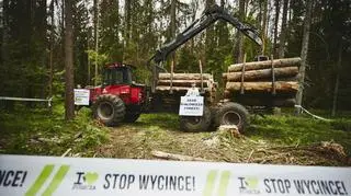 Pierwsza blokada wycinki Puszczy Białowieskiej