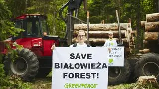 Pierwsza blokada wycinki Puszczy Białowieskiej