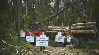 Pierwsza blokada wycinki Puszczy Białowieskiej