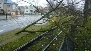Pierwsze oznaki Emmy w Ozorkowie (woj. łódzkie) (Fot. Łukasz Kaźmierczak)