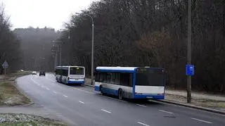 Pierwszy buspas w Gdyni