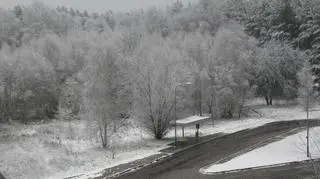 Pierwszy śnieg w Zielonej Górze (fot.internauta Aleksandra)