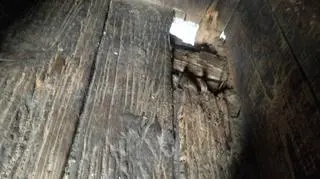 Pies miał do swojej dyspozycji dziurawą budę