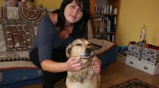 Pies Natalii Koseckiej na codzien jest bardzo ułożony