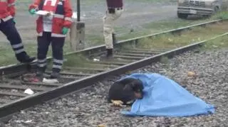 Pies nie chciał odejść od ciała swojego właściciela