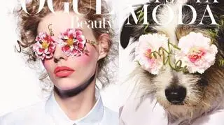 Pies Rysio wystąpił na pierwszej z okładek. Wcielił się w rolę modelki z pierwszej strony magazyny "Vogue"