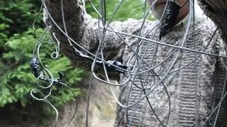 " Pies spędził we wnykach co najmniej tydzień, dwa"