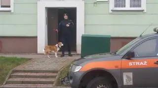Pies wołał o pomoc