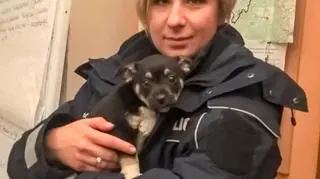 Piesek został przekazany do rodziny jednego z policjantów
