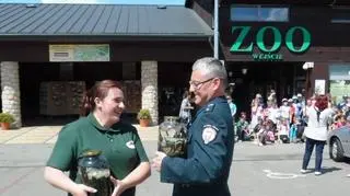 Pijawki trawiły już do zoo w Zamosciu
