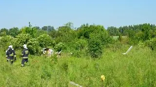 Pilot i pasażer zginęli w wyniku wypadku samolotu, do którego doszło w miejscowości Bobrowniki koło Łowicza