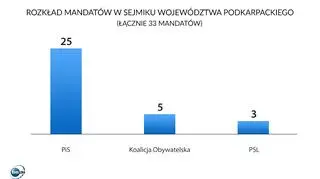 PiS zdobyło 25 mandatów w sejmiku województwa podkarpackiego