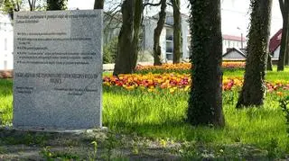 Plac zabaw i fitness na byłym cmentarzu