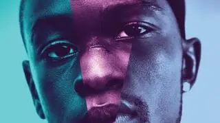Plakat promujący film "Moonlight"