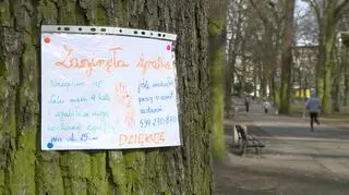 Plakat wisi w szczecińskim parku