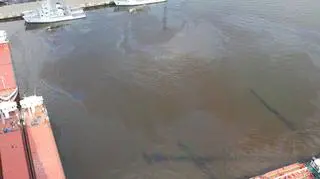 Plamy internauta zauważył przed godz