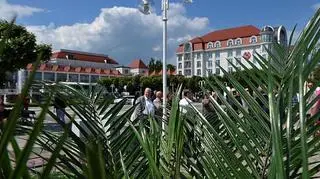 Plamy znów wróciły do Sopotu 