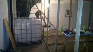 Plantacja znajdowała się pod Piotrkowem Trybunalskim