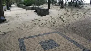 Plaża w Sopocie przeniosła się do parku