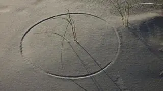 Plażowy czasotrawomierz 