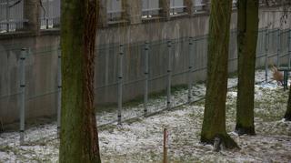 Płot niezgody na osiedlu Dziesięciny w Białymstoku 