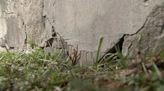 Płyta, której napisy, ukryto pod warstwą cementu