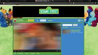 Po 20 minutach usunięto film porno z serwisu (fot. YouTube)