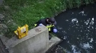 Pobrano próbki zanieczyszczonej wody do badań