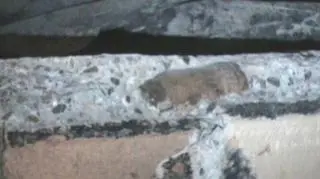 Pocisk wmurowany był w sufit jednego z pomieszczeń