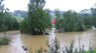 Pod wodą znalazła się tez część Podkarpacia (fot. internauta - Adrian Hewusz)