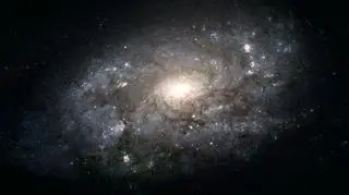 Podobna do naszej, galaktyka NGC 3949 (nasa.gov)