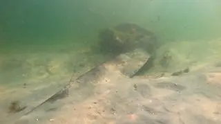 Podwodne zdjęcia wraku hydroplanu