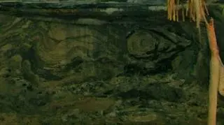 Pofałdowane warstwy geologiczne na stacji metra Powiśle