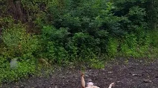 Pokaz tańca butoh