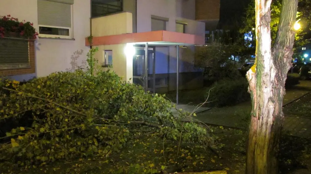 Połamane gałęzie przy Bajana