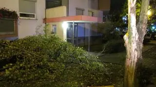 Połamane gałęzie przy Bajana