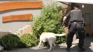 Polcja odkryła magazyn dzieł sztuki\policja.pl