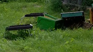 Policja szuka sprawców dewastacji