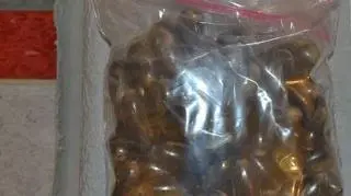 Policja zabezpieczyła narkotyki