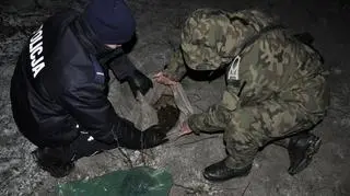 Policja zatrzymuje nielegalnie poszukujących bursztynu