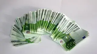 Policjanci znaleźli w sumie 250 banknotów po 100 euro