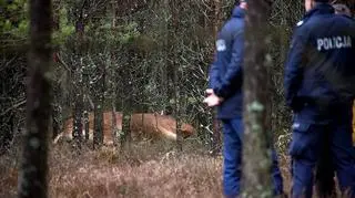 Policjant oddał 35 strzałów