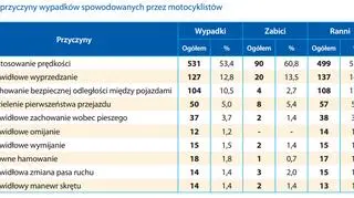 Policyjne statystyki za 2016 rok