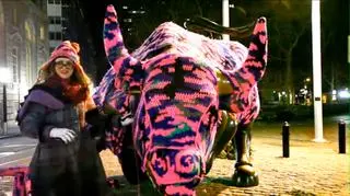 Polka sama ubierała symbol nowojorskiej giełdy w ubranko zrobione na drutach (fot. Olek)