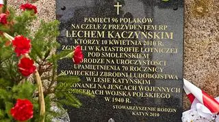 Polska tablica (PAP)