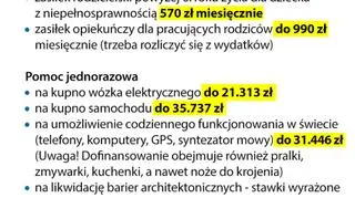 Pomoc państwa dla niepełnosprawnych w wybranych krajach Europy Środkowej