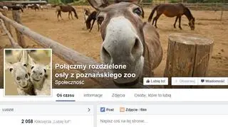 Ponad 2 tys