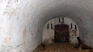 Poprzednio nie przeprowadzono badań kamzaty 